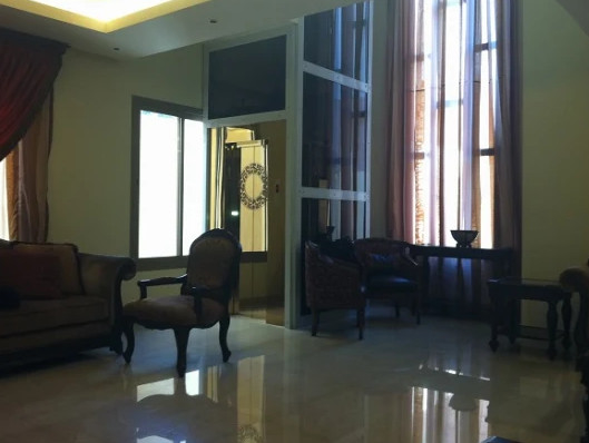 Personnes panoramiques de l'ascenseur 12 de FUJI ISO9001 aucun Pit Elevator