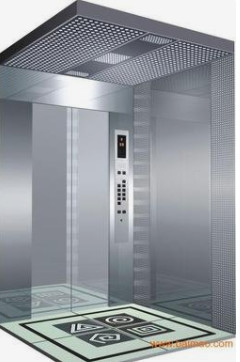 Petits ascenseurs de Fuji pour la balustrade commerciale des bâtiments 630KG SS304
