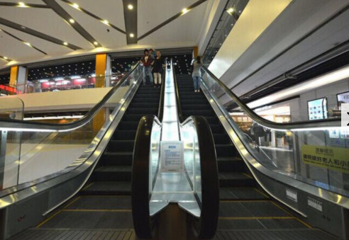 9000 personnes/heure de promenade mobile d'escaliers horizontaux d'escalator pour l'étape de la maison 0.8m