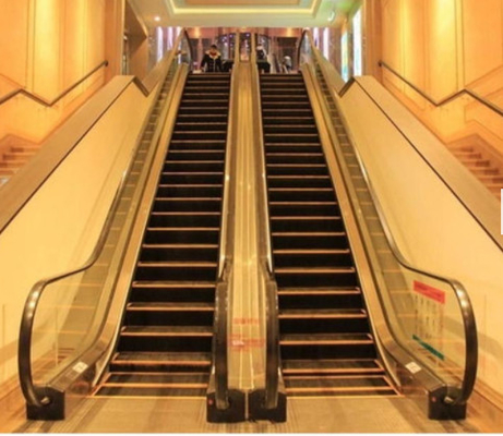 9000 personnes/heure de promenade mobile d'escaliers horizontaux d'escalator pour l'étape de la maison 0.8m
