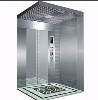 Ascenseur moderne de passager de 1.0m/s 220V pour des entreprises de B2B