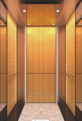 10 cabine d'ascenseur d'acier inoxydable de l'ascenseur CNAS de passager de personnes