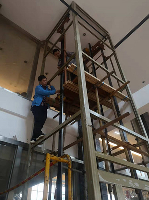 ascenseur en verre résidentiel de personnes de l'ascenseur 4 de maison de 0.63m/s 320KG Shaftless