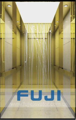 Ascenseur d'ascenseur de Chambre d'acier inoxydable de délié