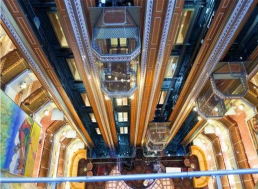 Ascenseur panoramique 800KG de 10 personnes autour de l'ascenseur en verre résidentiel