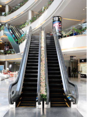 Escalators de souterrain et commande en mouvement des passages couverts 0.5m/s VVVF