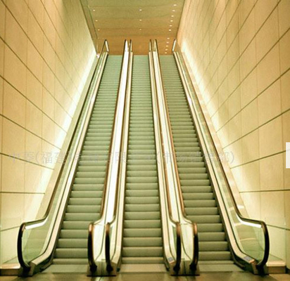 Escalator résidentiel de chariot à achats des escaliers 9000 Persons/h d'escalator de FUJI